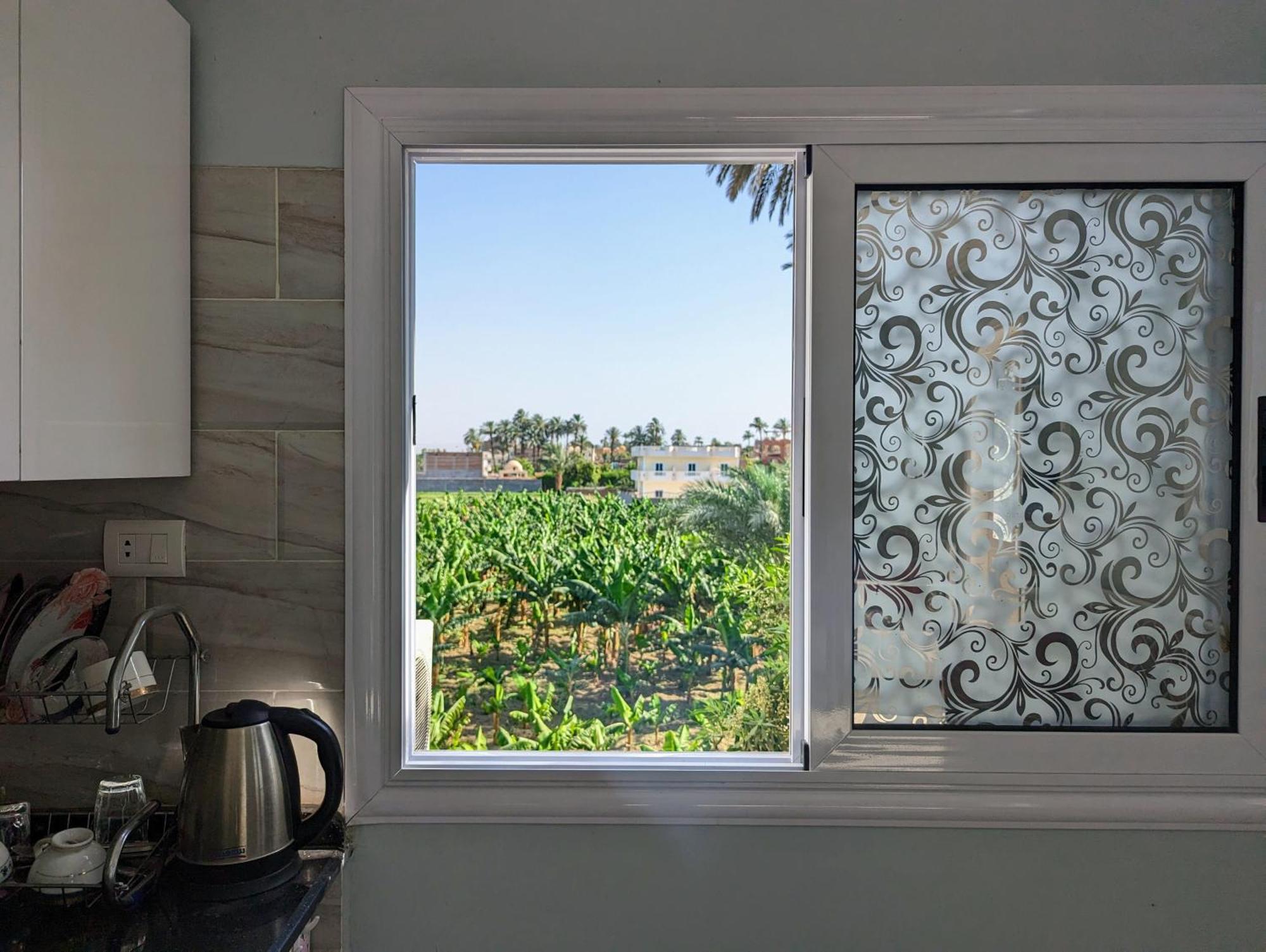 לוקסור Villa Rebecca מראה חיצוני תמונה